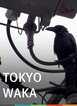 Tokyo Waka海报封面图