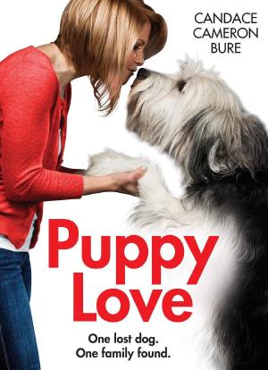 Puppy Love海报封面图