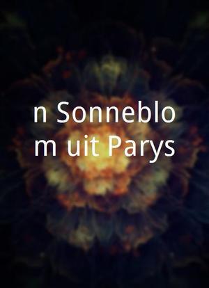 'n Sonneblom uit Parys海报封面图