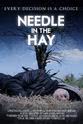 Peter Clatworthy Needle in the Hay