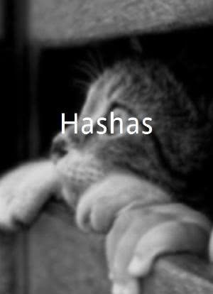 Hashas海报封面图