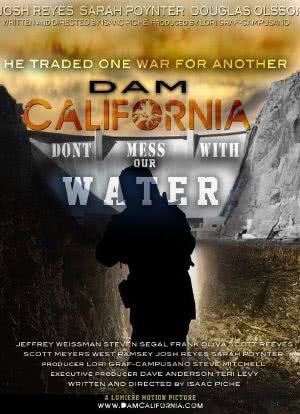 Dam California海报封面图
