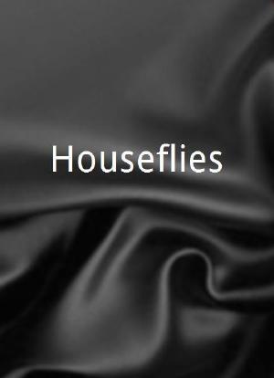 Houseflies海报封面图