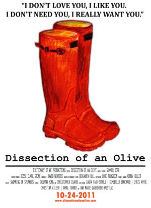 Dissection of an Olive海报封面图
