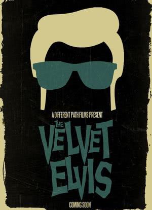 The Velvet Elvis海报封面图