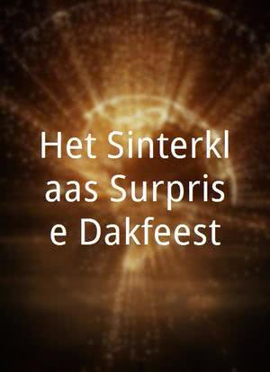 Het Sinterklaas Surprise Dakfeest海报封面图