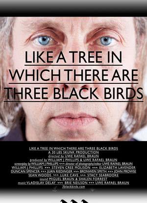 Like a Tree in Which There Are Three Black Birds海报封面图