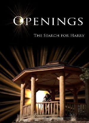 Openings: The Search for Harry海报封面图