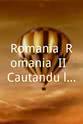 Yale Strom Romania! Romania! II: Cautandu-l pe Schwartz