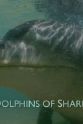 Alessandro Ponzo The Dolphins of Shark Bay