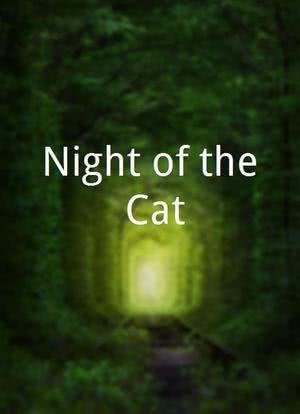 Night of the Cat海报封面图