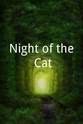 Jennifer Worthington Night of the Cat