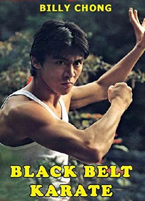 Karate sabuk hitam海报封面图