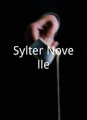 Sylter Novelle海报封面图