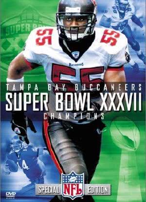 Super Bowl XXXVII海报封面图