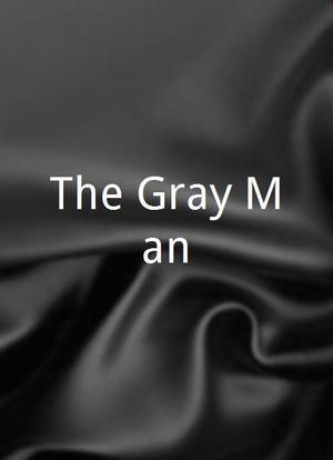 The Gray Man海报封面图