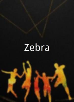 Zebra海报封面图