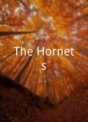 The Hornets海报封面图