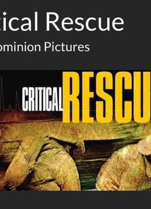Critical Rescue: Fateful Journey海报封面图