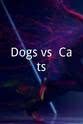 Eli the Chihuahua Dogs vs. Cats