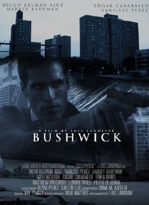 Bushwick海报封面图