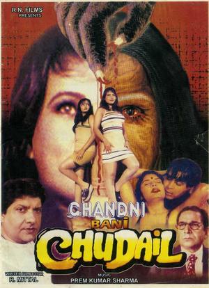 Chandani Bani Chudel海报封面图