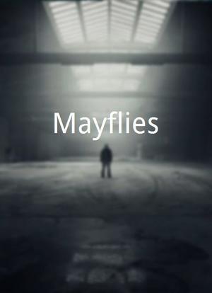 Mayflies海报封面图