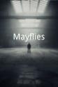 Molly Israel Mayflies