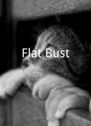 Flat Bust海报封面图