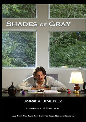 Shades of Gray海报封面图