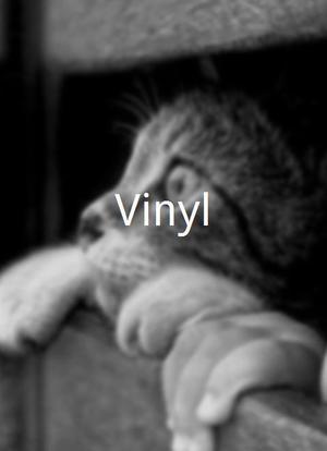 Vinyl海报封面图