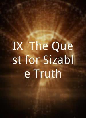 IX: The Quest for Sizable Truth海报封面图