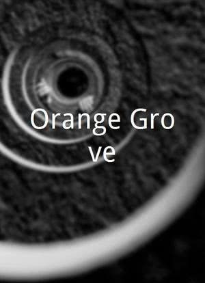 Orange Grove海报封面图