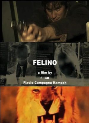 Felino海报封面图