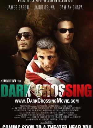 Dark Crossing海报封面图