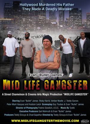 Mid Life Gangster海报封面图