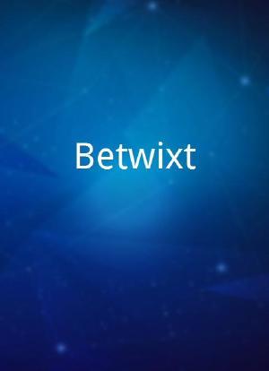 Betwixt海报封面图