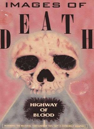 Images of Death: Highway of Blood海报封面图