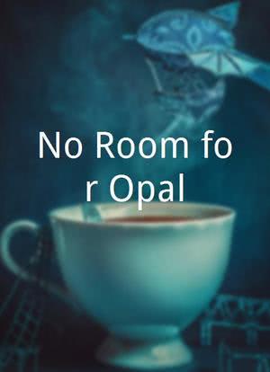No Room for Opal海报封面图