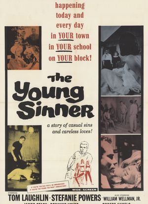 The Young Sinner海报封面图