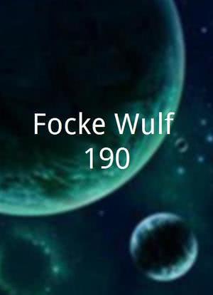 Focke Wulf 190海报封面图