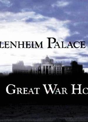 Blenheim Palace: Great War House海报封面图