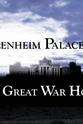 Sarah Feltes Blenheim Palace: Great War House
