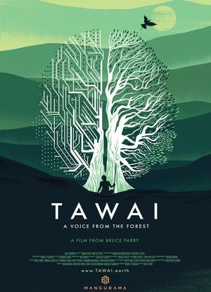 Tawai: A voice from the forest海报封面图