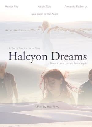 Halcyon Dreams海报封面图