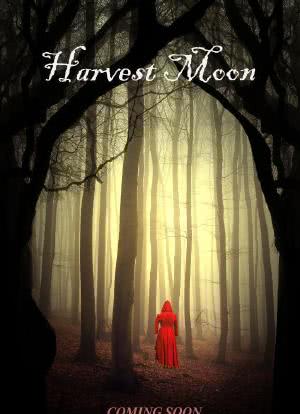 Harvest Moon海报封面图