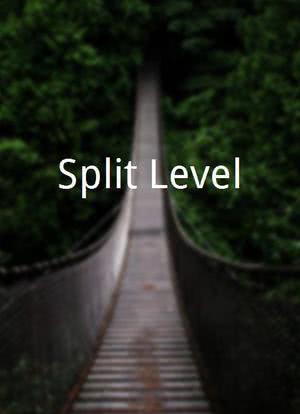 Split Level海报封面图
