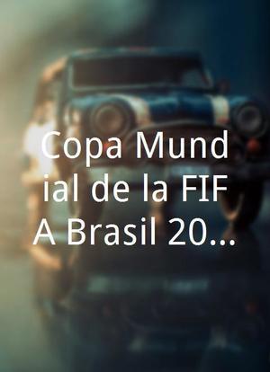 Copa Mundial de la FIFA Brasil 2014海报封面图