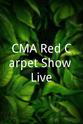Marie NeJame CMA Red Carpet Show Live