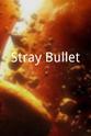 Doug Stephenson Stray Bullet